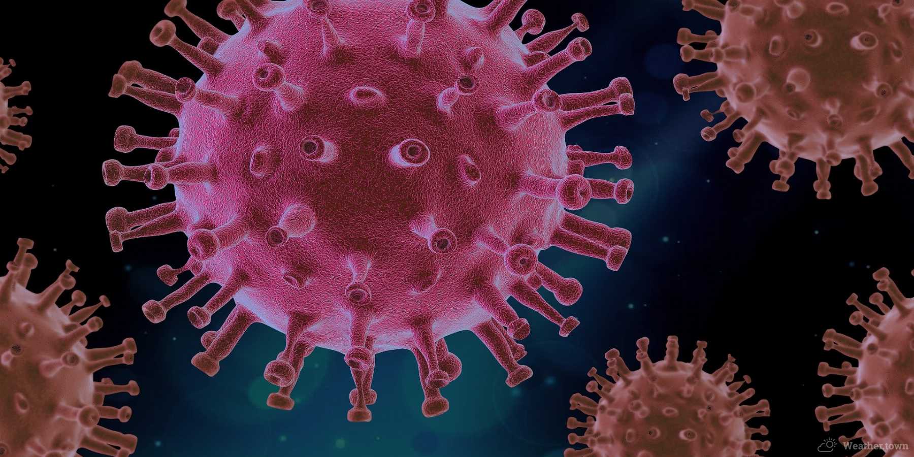 Will the coronavirus passed by summer?